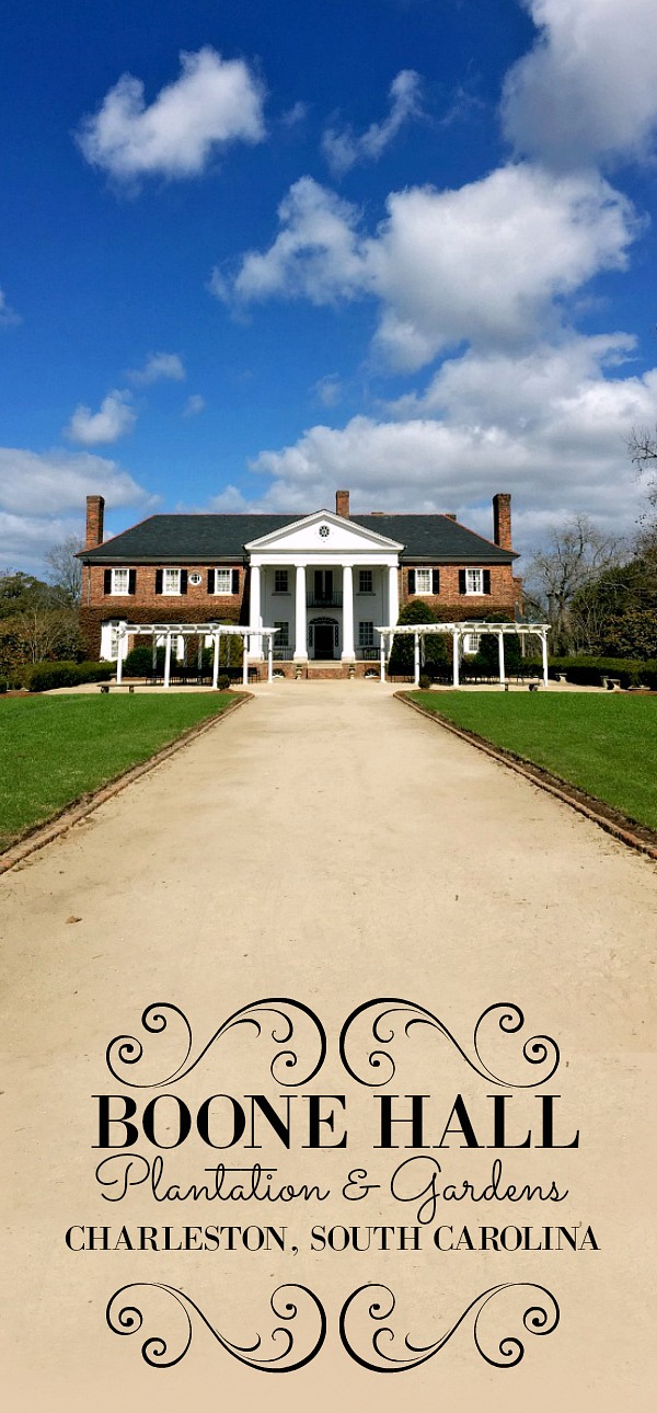 Boone Hall Plantation, located in Mount Pleasant, South Carolina is a must-see attraction when visiting Charleston. A working plantation with southern charm features the beautiful Avenue of Oaks, 9 original slave cabins, a colonial revival 1936 mansion tour and Gullah culture theatrical performance. Used in the filming of North and South, Queen, the Tempest, and The Notebook. Great day for kids and adults alike.