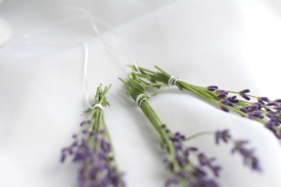 Oh, it is that  time of year again when sweet lavender is blooming in the garden. I have just one plant yet it gives me plenty of flower buds from each stem. Lavender is a fragrant and lovely herb. Learn growing tips, how to harvest and enjoy recipes using culinary lavender.