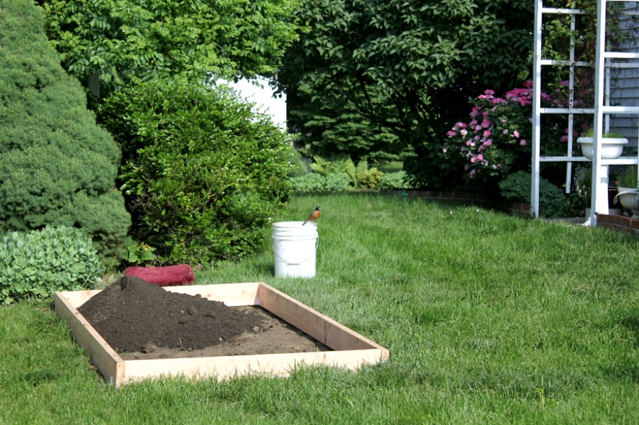 Raised Bed Gardening Tips for enjoyable and productive kitchen herbs, flower and vegetable growing in a small space. Fun and rewarding experience for kids too.