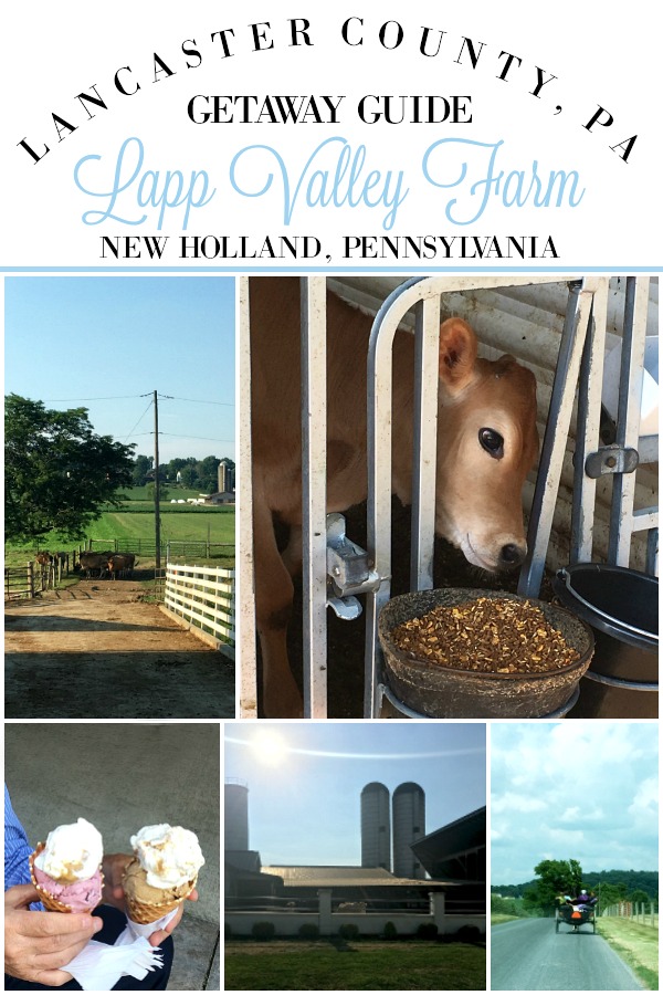 Lapp Valley Farm is a must visit when in the Pennsylvania Dutch area. Meticulously kept Mennonite farm in New Holland, Lancaster County with scenic grounds and rich, homemade ice cream. View the Jersey cows, pet the calves and meander around this lovely farm.