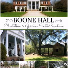 Boone Hall Plantation, Charleston, South Carolina