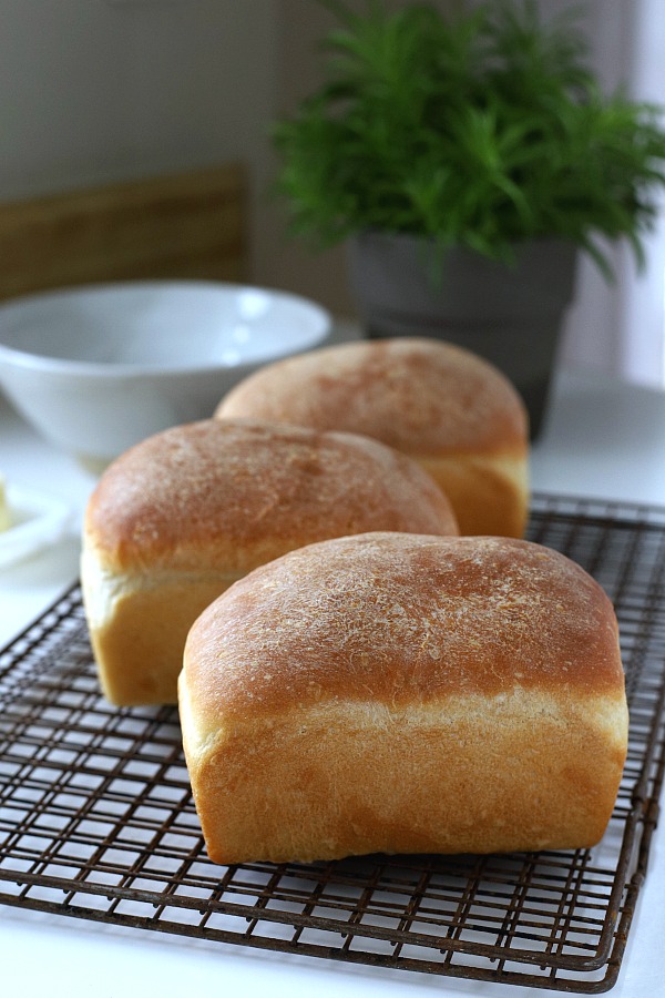 Toasted, buttered, as a sandwich or for sopping up gravy or soup, homemade bread is amazingly satisfying. This very easy potato bread works for breakfast, lunch and dinner. 