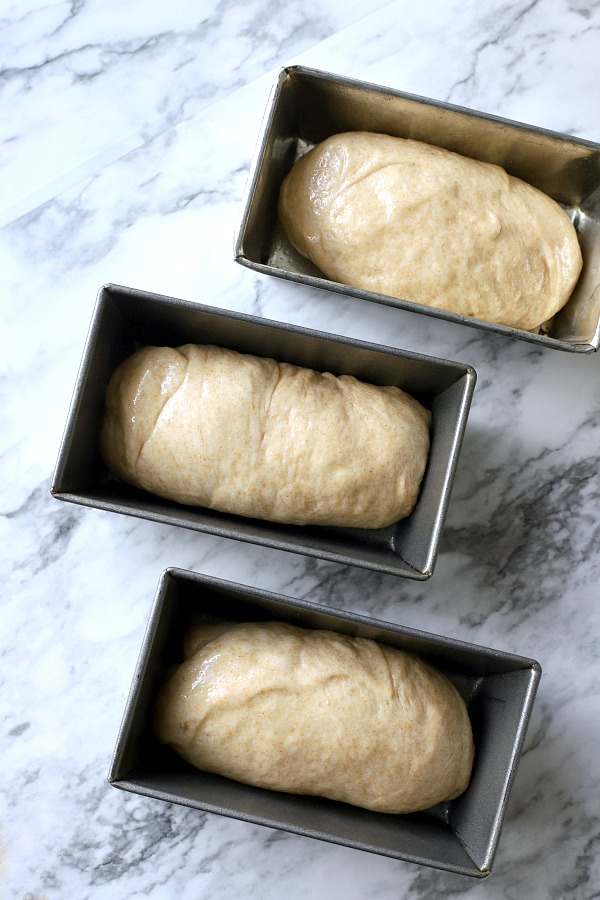 Easy recipe for delicious homemade honey whole wheat bread uses a bread machine to make the dough. Shape into loaves and bake. Perfect for slicing too.