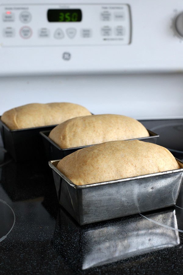 Easy recipe for delicious homemade honey whole wheat bread uses a bread machine to make the dough. Shape into loaves and bake. Perfect for slicing too.