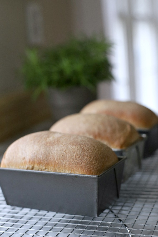 Easy recipe for delicious homemade honey whole wheat bread uses a bread machine to make the dough. Shape into loaves and bake. Perfect for slicing too.