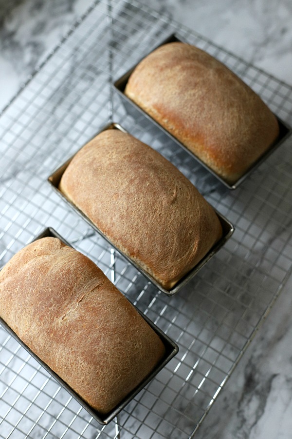 Easy recipe for delicious homemade honey whole wheat bread uses a bread machine to make the dough. Shape into loaves and bake. Perfect for slicing too.