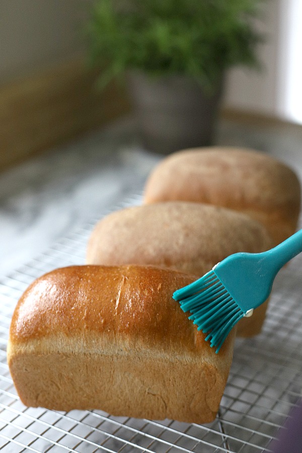 Easy recipe for delicious homemade honey whole wheat bread uses a bread machine to make the dough. Shape into loaves and bake. Perfect for slicing too.