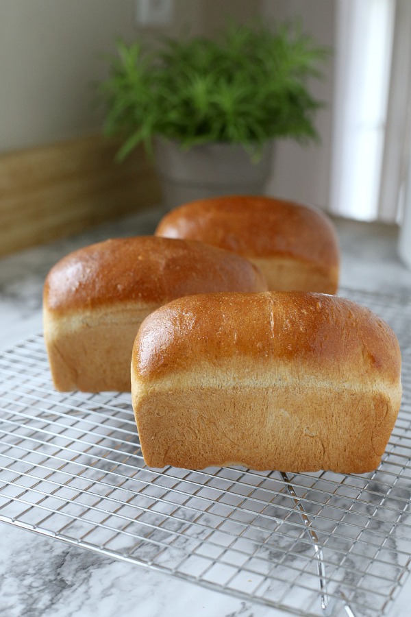 Easy recipe for delicious homemade honey whole wheat bread uses a bread machine to make the dough. Shape into loaves and bake. Perfect for slicing too.