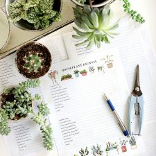 Houseplant Journal