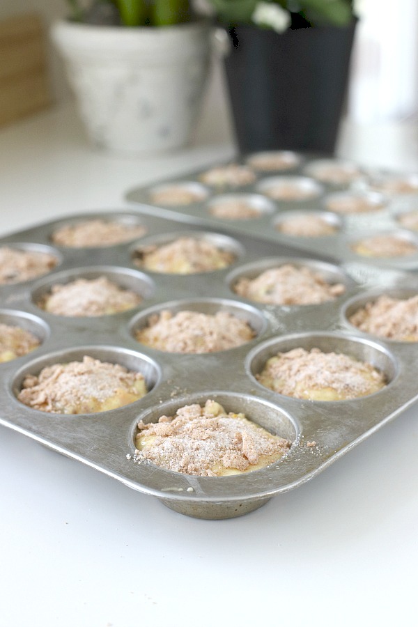 Bursting with flavor, these orange cranberry streusel muffins are made with orange juice, orange zest and orange marmalade! Pecans and dried cranberries give crunch and a delightful flavor. Finished with a cinnamon sugar mixture for perfect sweetness. Eat plain or drizzle on a light frosting.