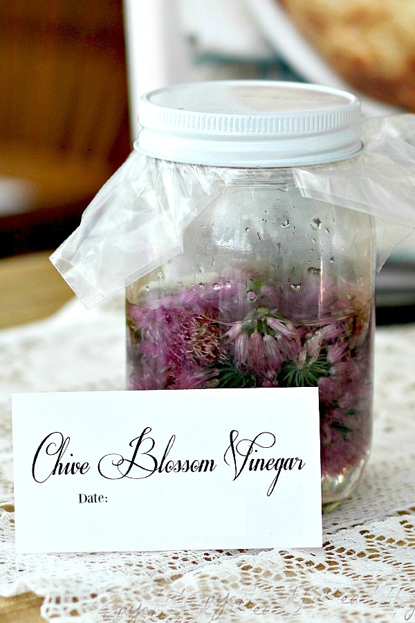 Edible and pretty, the blossoms from your chives make a nice herbal vinegar. Chive blossom vinegar has a mild onion flavor and is a sweet gift to share with friends. 