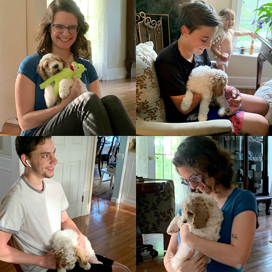 Bringing our cockapoo puppy home and beginning crate and leash training, housebreaking, play biting and sleeping through the night skills. Our hearts are full!