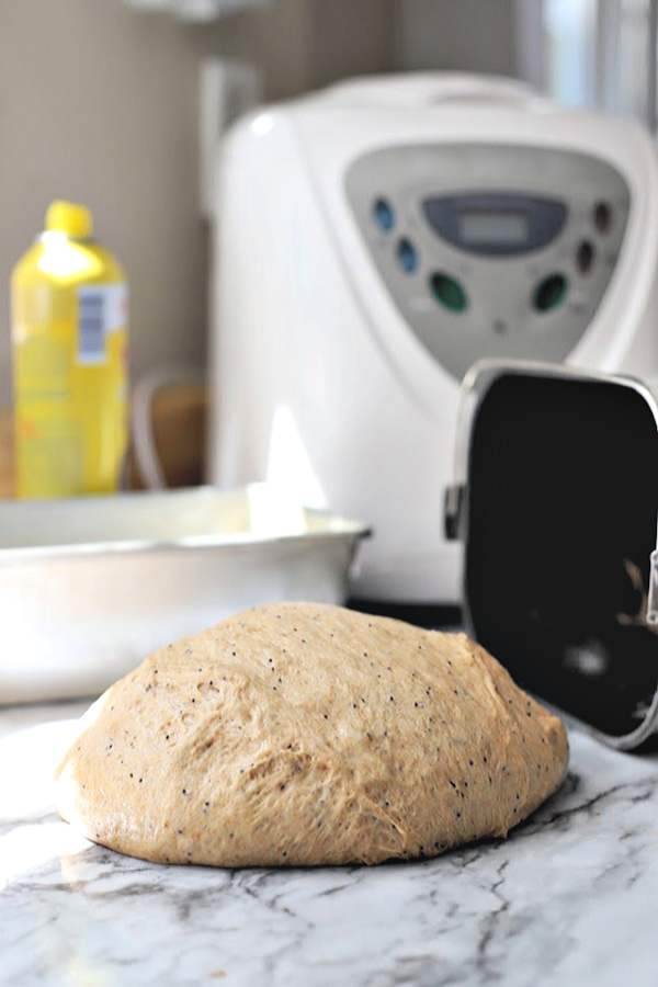 Dough cycle from a bread machine