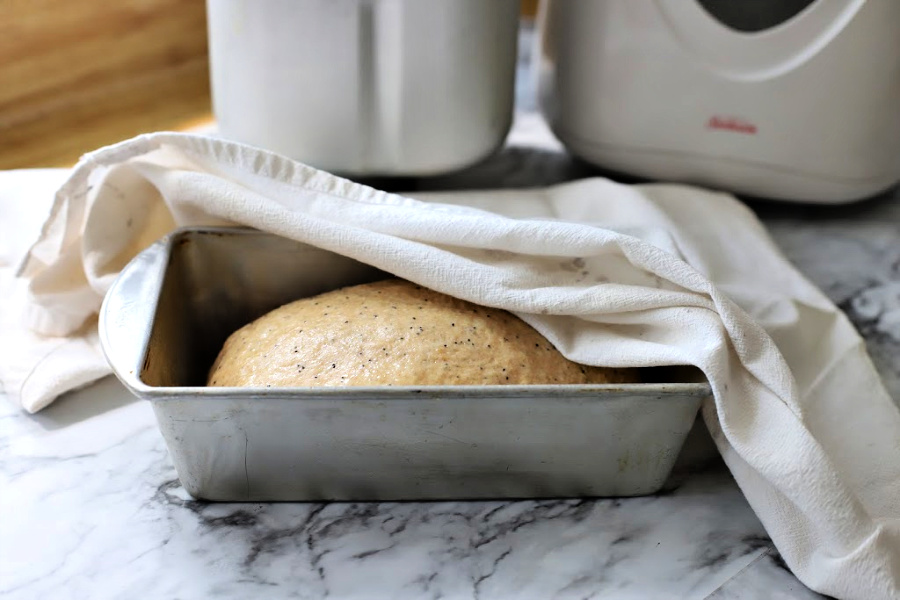 Bread dough second rise