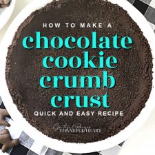 Chocolate Cookie Crumb Crust