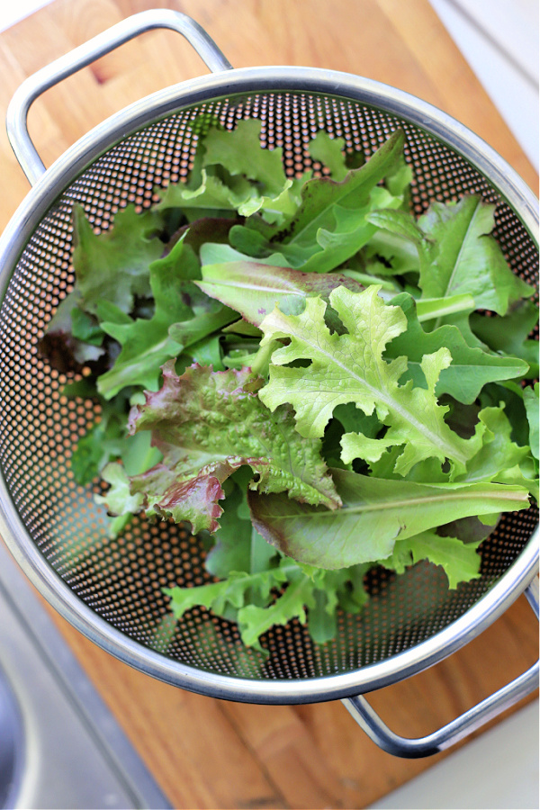 How-to for when and how to plant, pick and harvest for fresh and healthy salads.