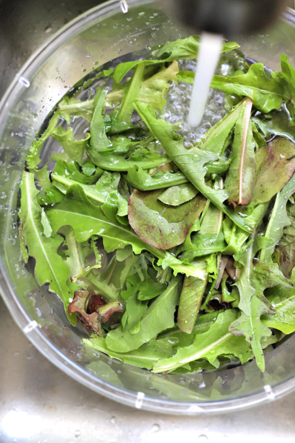 How-to for when and how to plant, pick and harvest for fresh and healthy salads.