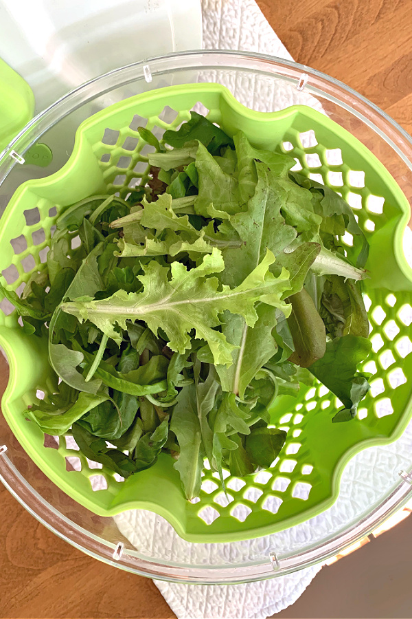 How-to for when and how to plant, pick and harvest for fresh and healthy salads.