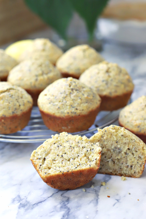 homemade poppy seed muffins