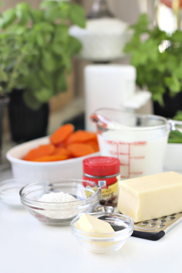 Ingredients for creamy cheese sauce