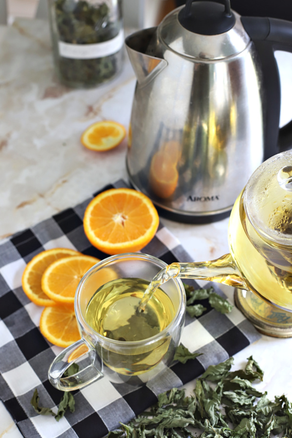 orange mint tisane from herb garden plant that is harvested and dried.