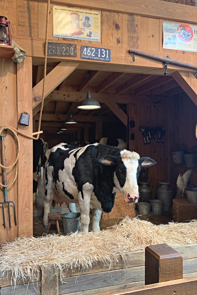 Bessie the Cow at the Billy Graham Library, Charlotte NC