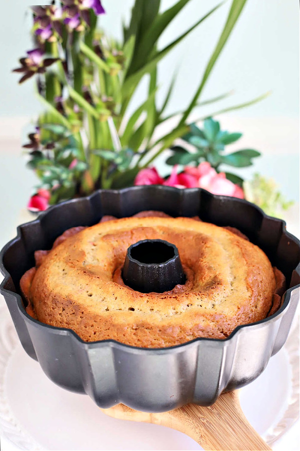 Cooling hummingbird Bundt cake.