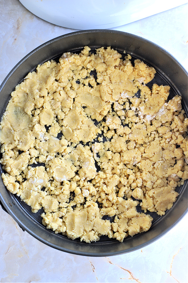 Pressing the crust into a springform pan for NY style cheesecake recipe.