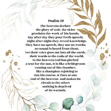 Psalm 19