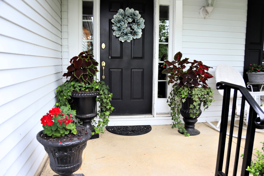 Giant coleus growing in planters on home front porch.