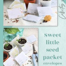 Seed Packet Envelopes