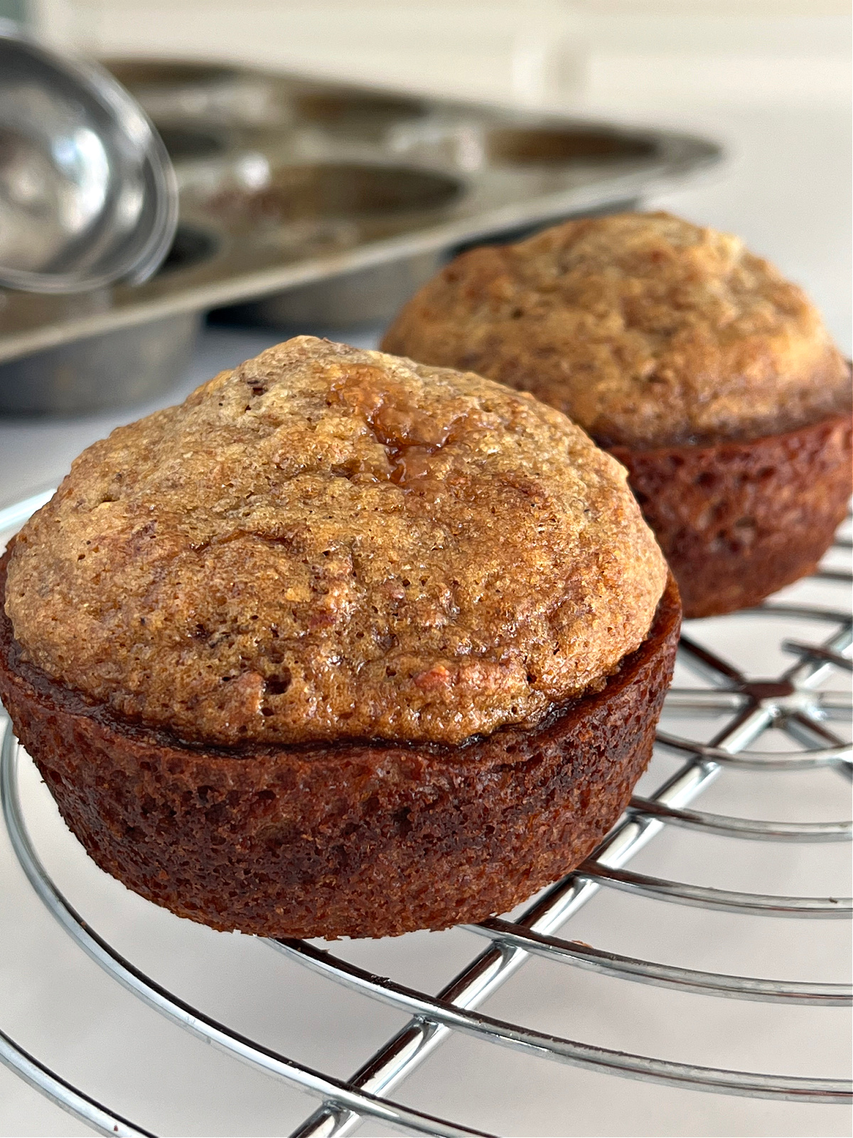 6 week refrigerator bran muffin recipe 